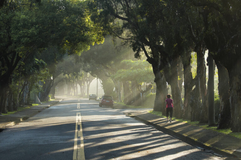 吳尚勳中興新村晨光 1