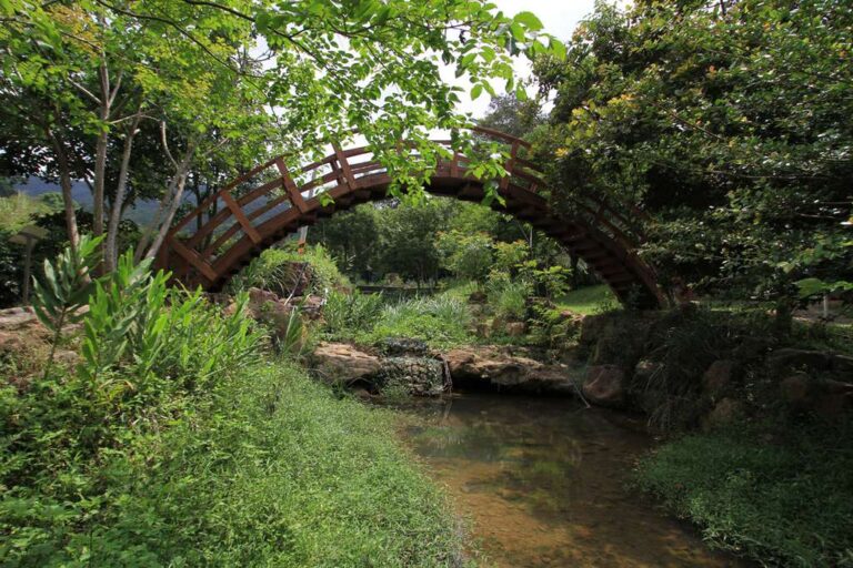 桃米生態村小橋