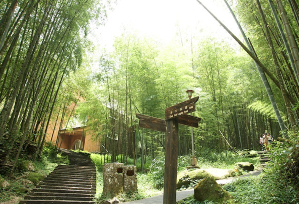 南投竹山一日遊