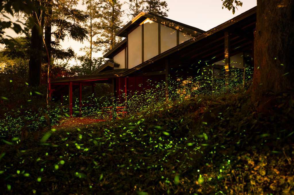 004 優選7 吳坤炳 內湖國小 螢光精靈