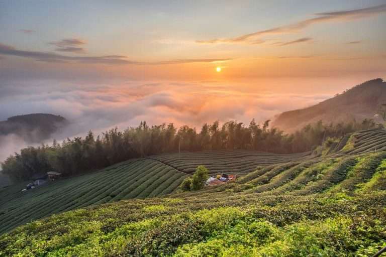 006 入選58 李詠富 大崙山 夕色雲海