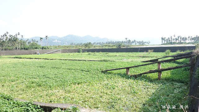 名間新街冷泉濕地