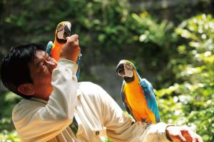 鳳凰谷鳥園生態園區