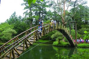 溪頭自然教育園區