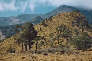 八通關古道 IG lindaslut5566