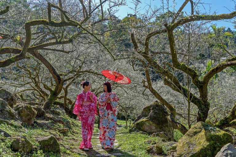 烏松崙觀光梅園