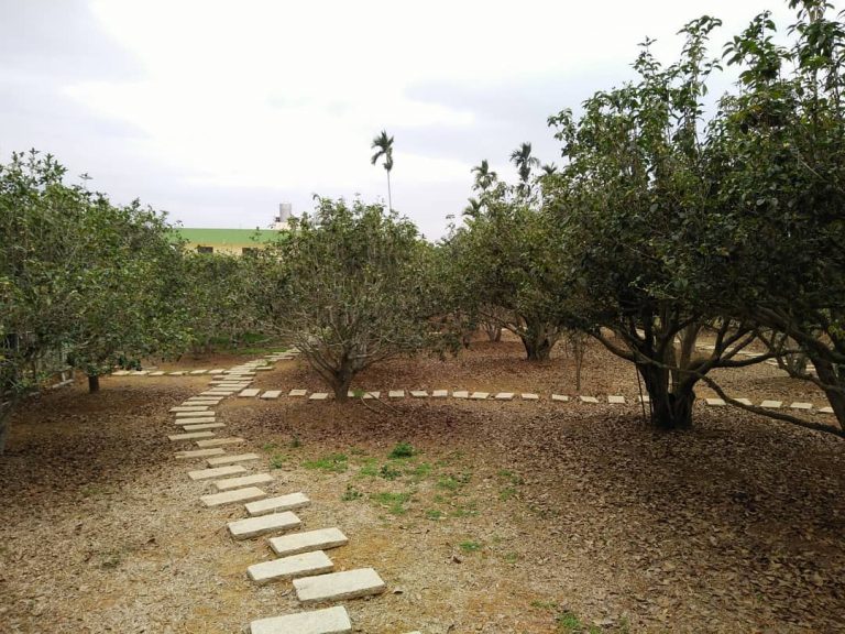 桂花森林 IG polarcnc