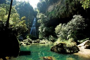 杉林溪森林生態渡假園區鳥居