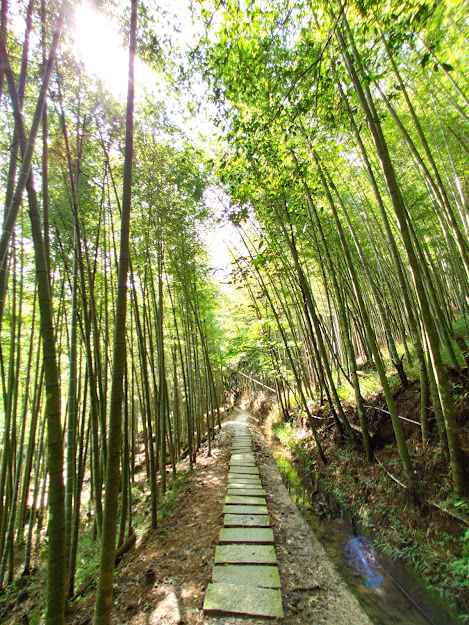 小半天休閒農業區