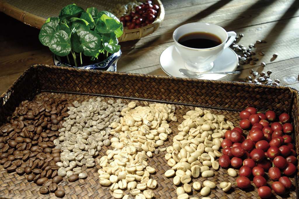 咖啡豆