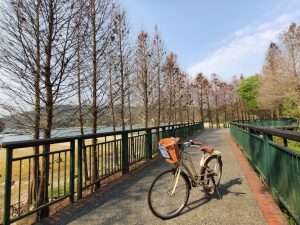 日月潭水社親水步道@好好玩台灣03