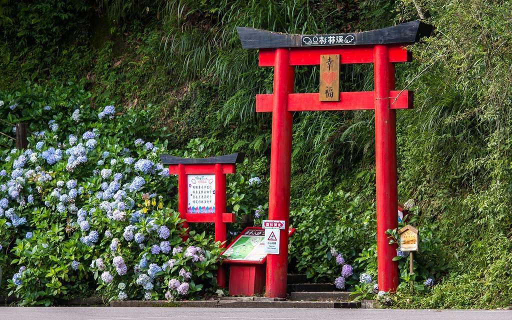 南投溪頭二日遊