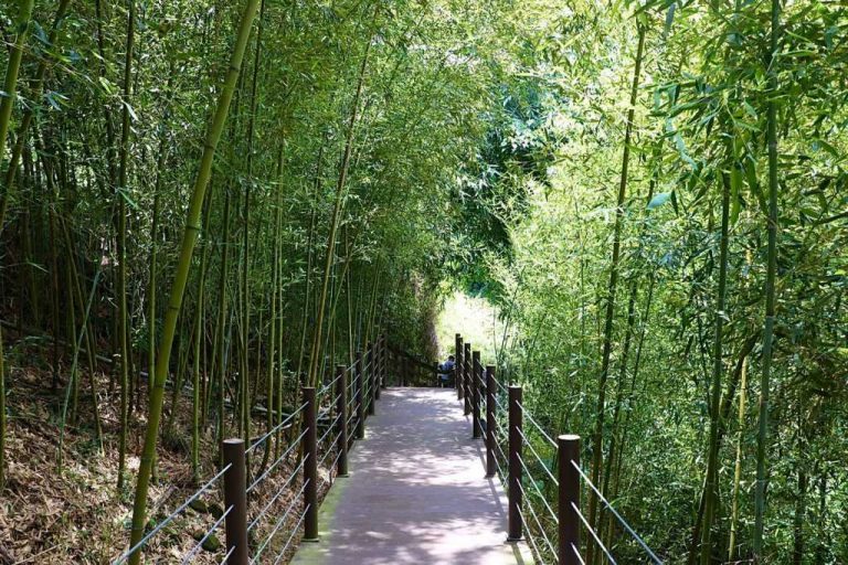 瑞龍瀑布園區@好好玩台灣