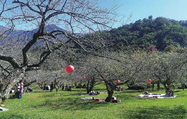 自強愛國休閒農場